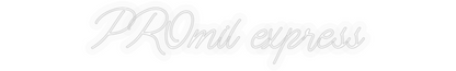 Personalizowany neon: PROmil express
